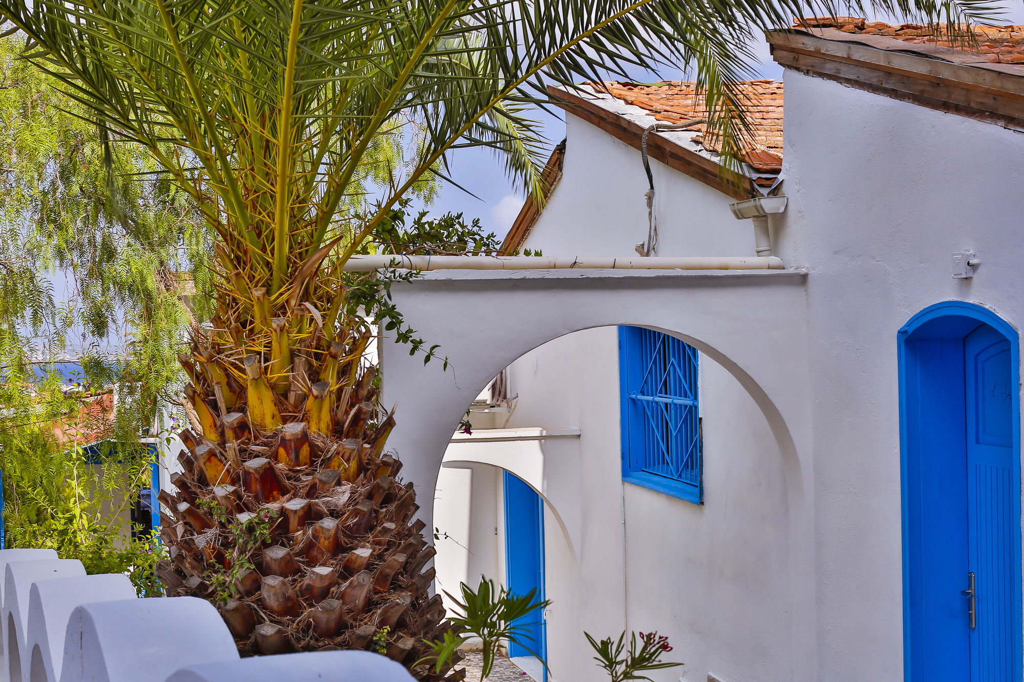 Çeşme Pasalimani Hotel المظهر الخارجي الصورة